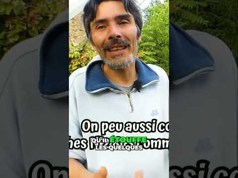 Régénérer le sol avec des engrais verts innovants