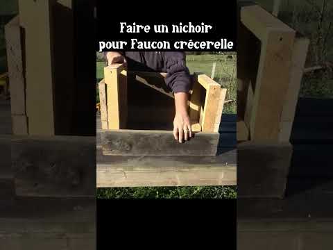 Faire un nichoir pour faucon crécerelle #jardin