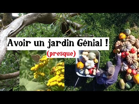 Comment avoir un jardin incroyablement génial ? (La réponse est dans la biodiversité !)