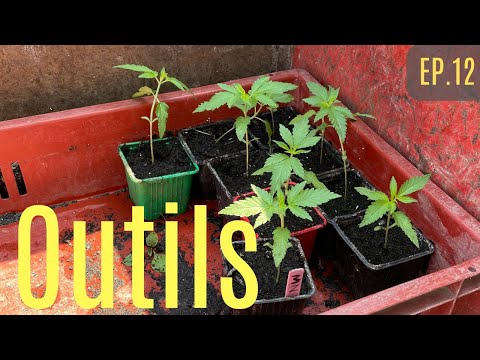 EP.12 : Les OUTILS