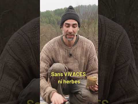 Semis de POIREAUX 🌱