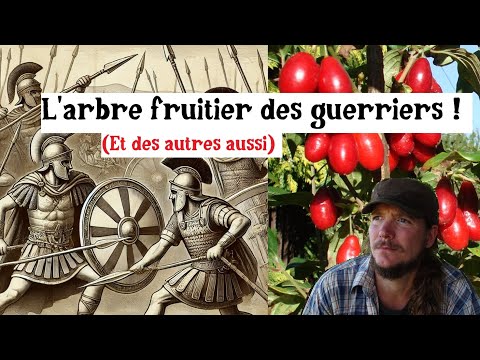 N&#039;oubliez pas ce fruit oublié !