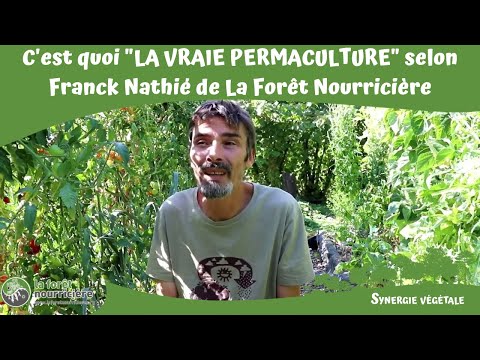 C&#039;est quoi &quot;LA VRAIE PERMACULTURE&quot; selon Franck Nathié de La Forêt Nourricière