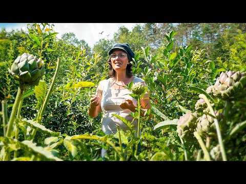 La SYNTROPIE va changer notre vision de L&#039;AGRICULTURE à tout jamais