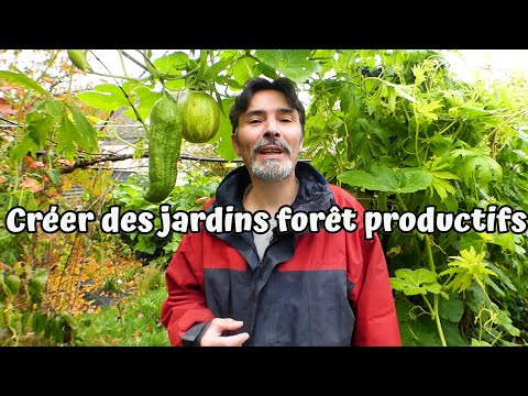 Concevoir des jardins vivriers productifs