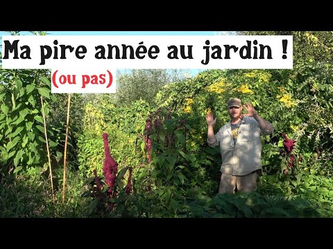 Ma pire année au jardin ! (ou pas)