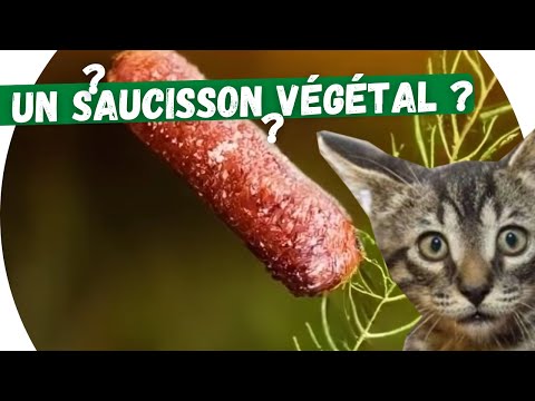 🥖🪴La plante saucisson, alternative végé pour l&#039;apéro !