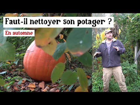 Comment entretenir le potager en automne sans abîmer le sol