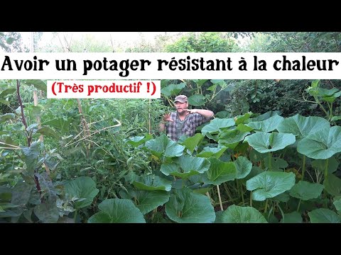 Avoir un potager résistant à la chaleur !