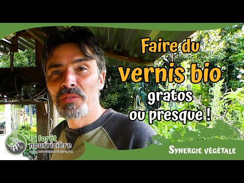 Lasure écologique gratos