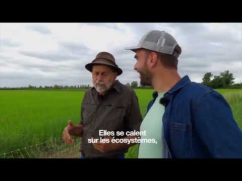 Au rythme de la Terre : six ans d&#039;enquête sur les fermes