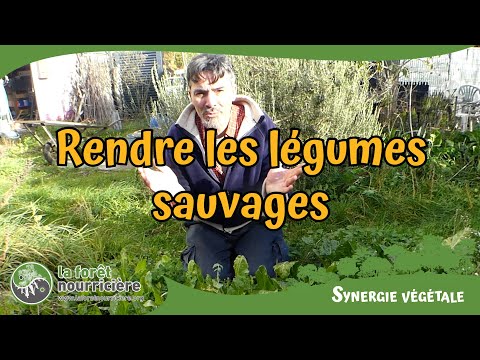rendre les légumes sauvages