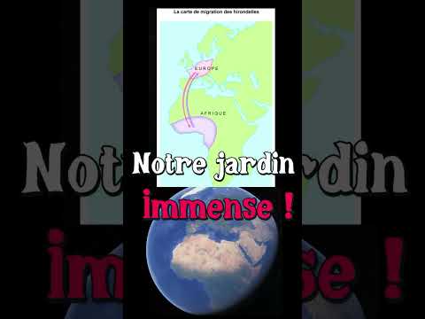 jardin immense