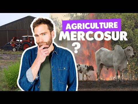 Accord UE-Mercosur : une agriculture écologique est-elle tenable ?