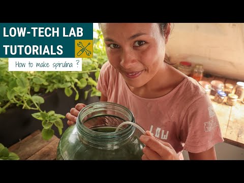 🇫🇷 🇬🇧 How to grow spirulina at home ? DIY Tutorial