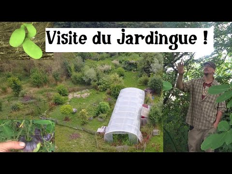 Visite du jardin en juillet !