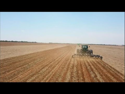 Déforestation au Brésil : le soja dévore la forêt amazonienne • FRANCE 24