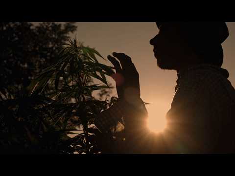 Ferme de Cagnolle - TEASER