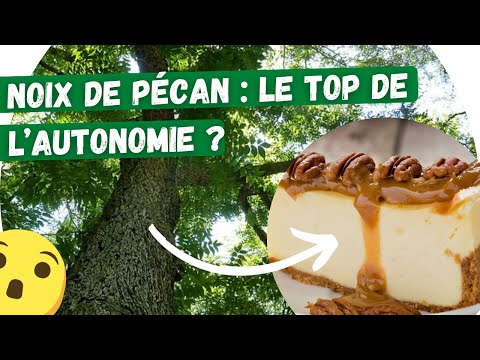🌳Le pacanier, arbre allié pour l&#039;autonomie... et la gourmandise !