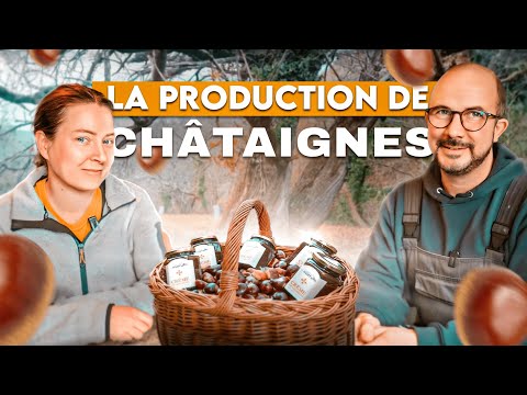 La CONSERVATION ET TRANSFORMATION DE LA CHATAIGNE un allié pour l&#039;AUTONOMIE