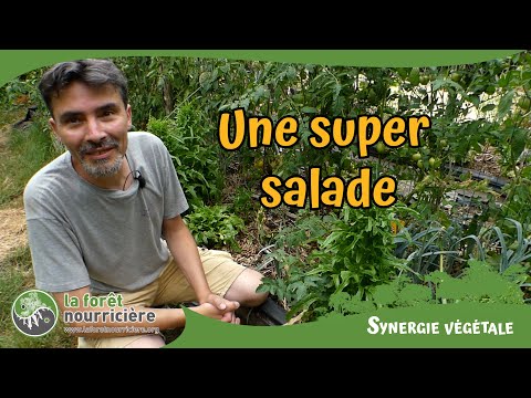 La super salade &quot;Radichetta&quot;