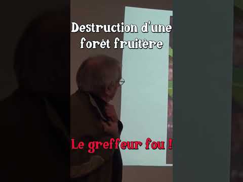 Destruction d&#039;une Forêt Fruitière ! (Maurice Chaudière) #forêt #fruit