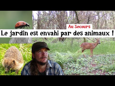 Le jardin se transforme en réserve animalière !