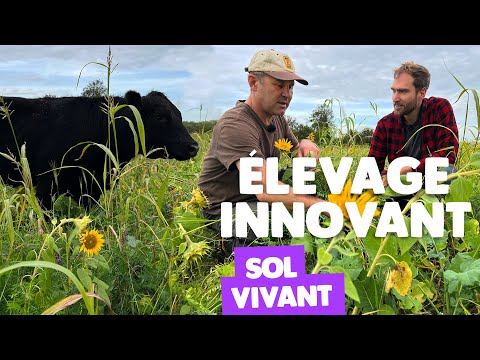 Autonomie et sols vivants : élevage en agriculture céréalière