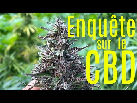 Que faut-il savoir ABSOLUMENT avant d&#039;acheter du CBD &amp; CBG ?