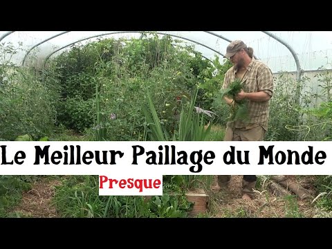 Le Potager et le Meilleur Paillage du Monde de l&#039;Univers