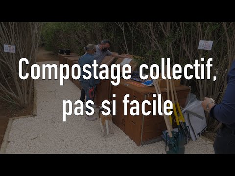 Le compostage collectif de quartier, pas si facile