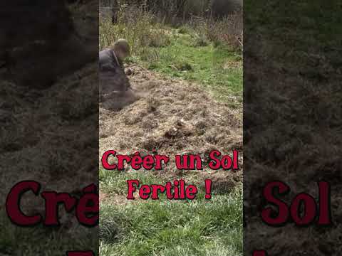 Créer un Sol Fertile #permaculture