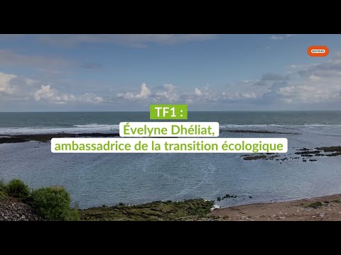 TF1 : Évelyne Dhéliat, ambassadrice de la transition écologique