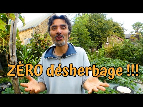 Éliminer toutes les mauvaises herbes écologiquement en produisant des légumes