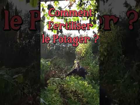 Comment Fertiliser un Potager ? #permaculture