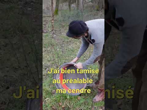 Un ÂNE HEUREUX ?