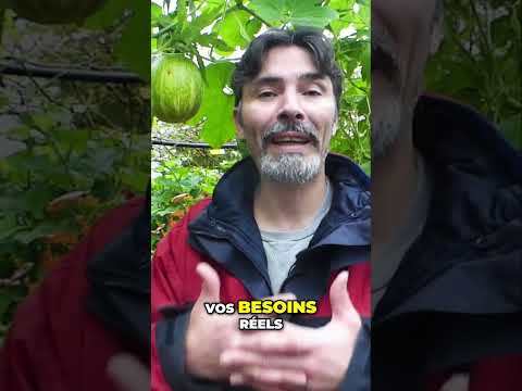 Transformez votre Jardin en Paradis Productif et Écologique