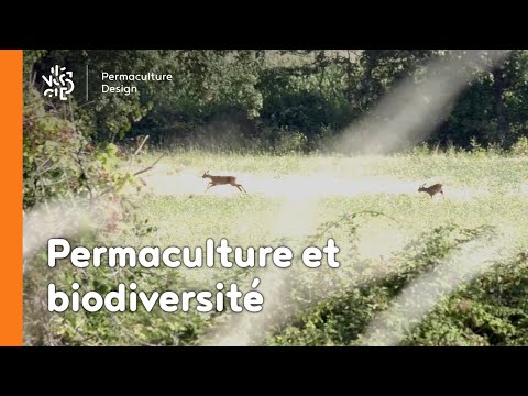 Permaculture et Biodiversité