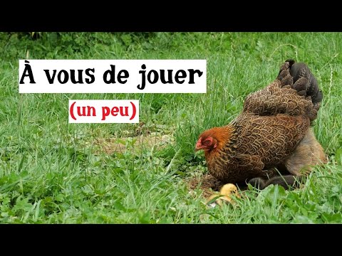 À vous de jouer !