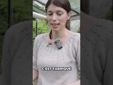 Elle cultive son coton en serre pour faire ses propres vêtements