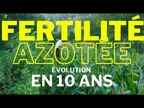 EP.4 : ÉVOLUTION de la FERTILITÉ azotée