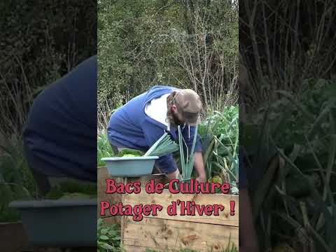 Bacs de culture et potager d&#039;hiver #jardin #potager