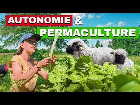 Autonomie et Permaculture , LEA la super MAMAN est de retour !