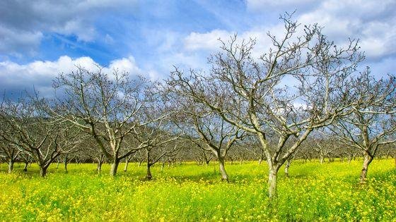 560x315_sc_gettyimages-646787030