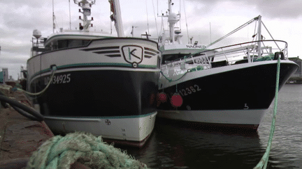 peche-65d4c1d174e0f584622566