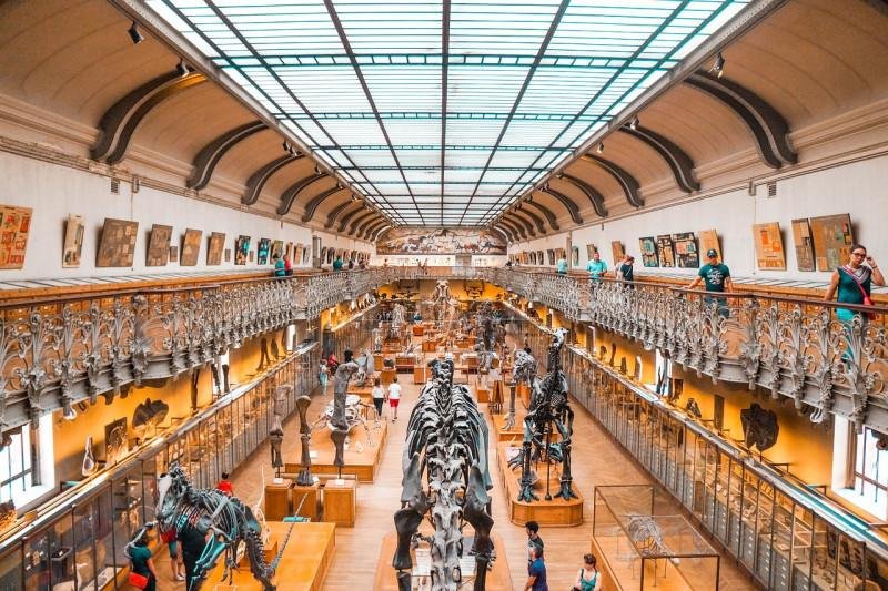museum-5082786_1280