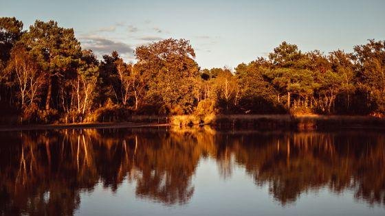 560x315_sc_credit-photo-benoit-linero-86