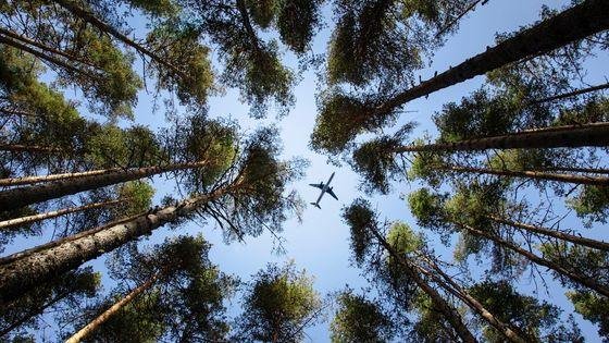 560x315_sc_gettyimages-1457592598