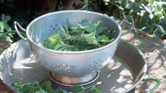 560x315_sc_gettyimages-527125696
