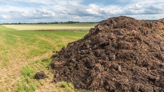 560x315_sc_gettyimages-1357864689